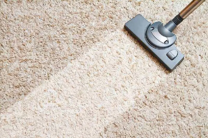Solução caseira eficaz para limpeza de tapetes encardidos