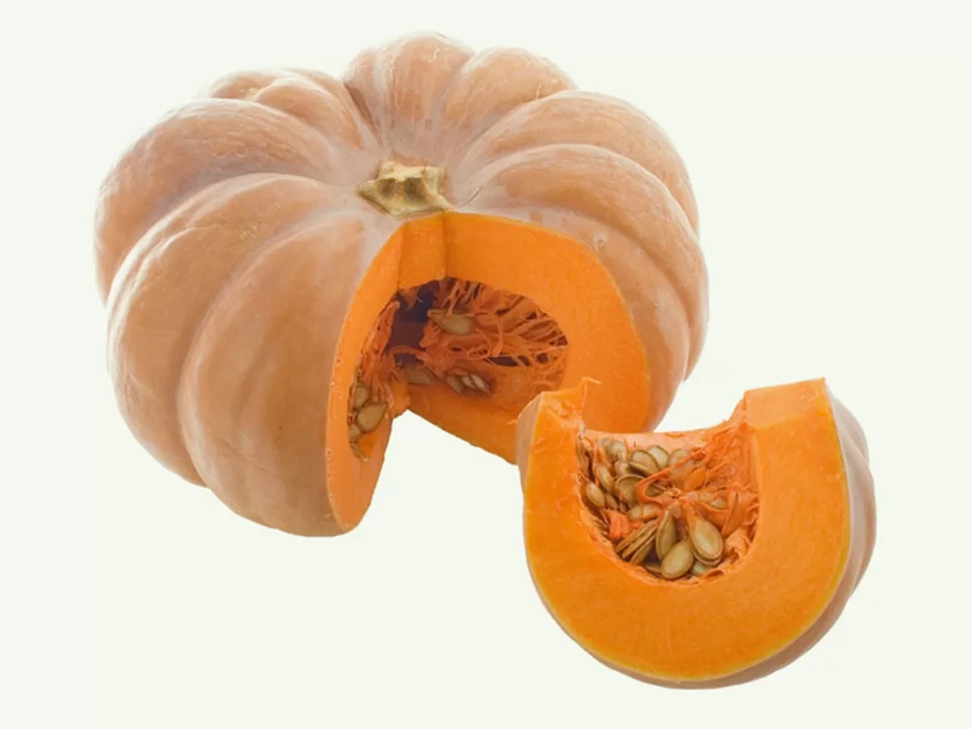 Abobora moranga tem carboidratos